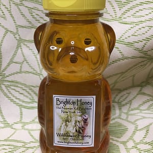 Brighton Honey Spring Light Honey Bear