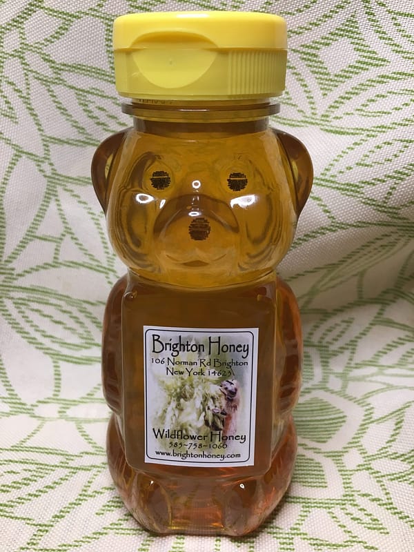 brighton honey spring light honey bear